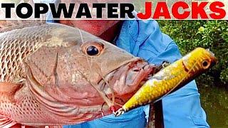 Mangrove Jack Tactics - Topwater Lures and How To Fish Them