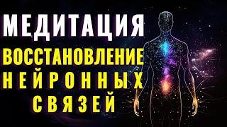 Нейрообновление | Нейропластичность и Восстановление | Тело в перерождении |Обновление Клеток