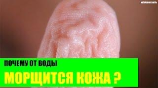 Почему кожа морщится от воды?