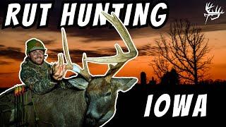 Rut Hunting Iowa Whitetails