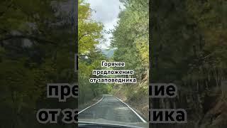 С 15 ноября национальный заповедник «Крымский» предлагает крымчанам скидку-50%  #крым #ялта#алушта