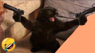 Best Funny Dogs And Cats Videos  Funniest Animals Videos 2023 #19