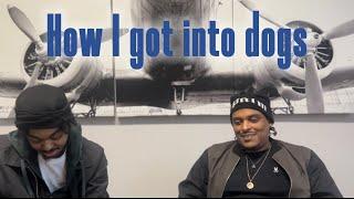 Exotic Bully Breeder tells how he got into dogs. #exoticbullies #americanbully #dogs