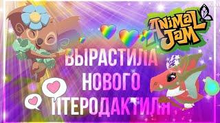 Вырастила нового ПТЕРОДАКТИЛЯ 🩷 • animal jam • энимал джем • Симулята • #animaljam #энималджем #aj