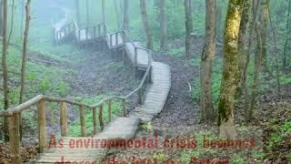 Three reasons why Eco-Fiction is so Important