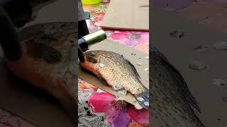 Как быстро почисть рыбу? #удачныевыходные #рыбалка #рыба