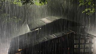 Dormir en menos de 3 minutos con lluvia intensa y truenos en el techo de metal de una granja por la