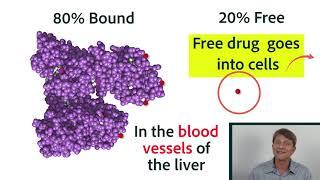 Distribution of Drugs