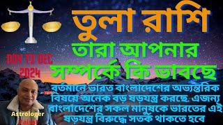 তুলা রাশিফল নভেম্বর থেকে ডিসেম্বর ২০২৪, তারা আপনার সম্পর্কে কি ভাবছে, Libra Horoscope Bangla