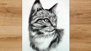 How to Draw a Realistic Cat Step by Step | Cat Head Sketch for Beginners