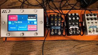 Chase Bliss Dirt Bird Gain