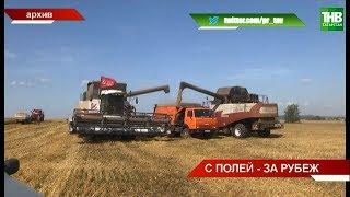 Дмитрий Патрушев: как российские товары будут покорять мир? ТНВ