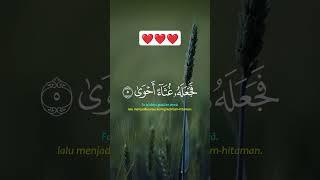 Masya Allah Merdu Menyentuh Hati Al A'la (ayat 1 sampai 10)