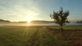 Early morning in Swiss countryside