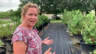 LSU AgCenter Hill Farm Horticulture Teaching Facilities and University Gardens Tour