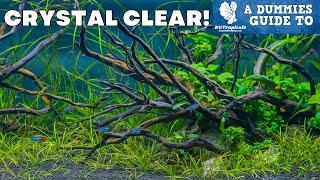 The Clearest Water In Your Aquarium, Easy How To! A Dummies Guide To Clear Water.