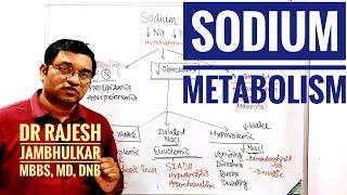 3. Sodium metabolism