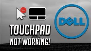 Dell Touchpad Not Working in Windows 10/8/7 [2025 Tutorial]