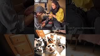 wait that tattoo is wrong  #cat #meme #dance #trending
