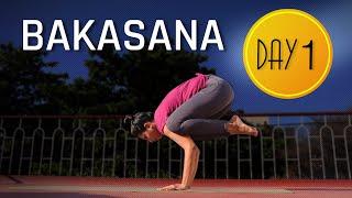 Day 1 of 4 days Bakasana Practice | How to practice Crow Pose| Yoga For Beginners