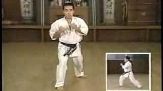 Karate kyokushin kata pinan ura