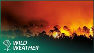 The Unthinkable Natural Disasters Of 2016 | Disaster Diaries | Earth Stories