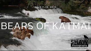 Bears of Katmai National Park - David W. Shaw Photo Workshops