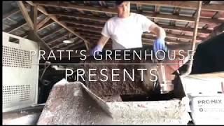 Week One! Our greenhouse life...