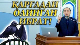 ҚАРҒАДАН ОЛИНГАН ИБРАТ!