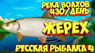 русская рыбалка 4 - Жерех река Волхов - рр4 фарм Алексей Майоров russian fishing 4