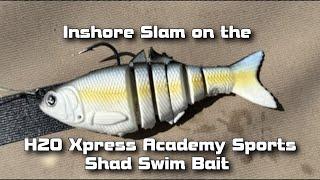 Inshore Slam on One Swim Bait, RedFish, Trout, Flounder