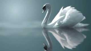 Le Cygne flute cover