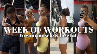 FULL WEEK OF WORKOUTS: the workout routine helping me GAIN MUSCLE & LOSE FAT!!