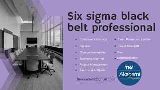 SIX SIGMA BLACK BELT PROFESSIONAL