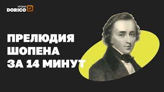 Набираем прелюдию Шопена в Dorico за 14 минут