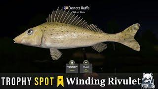 Russian Fishing 4 | Winding rivulet trophy Donets Ruffe spot