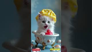 #cute #cat #kitten #love #animals #pets #funny #baby #trending