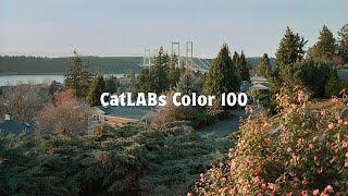 CatLABs Color 100