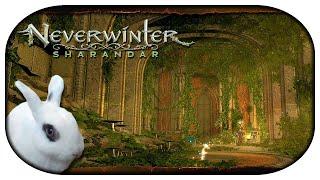 NEVERWINTER: Sharandar  20 - Der scheussliche Hof [Mod 20]