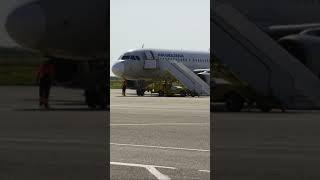 summer spotting #aviaspotting #planesphoto