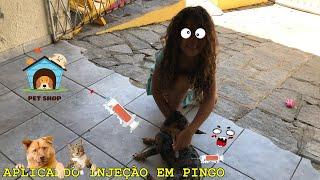 SABRINA APLICANDO INJEÇÃO EM PINGO!!