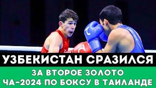 Сборная Узбекистана сразилась за Второе Золото ЧА-2024 по боксу