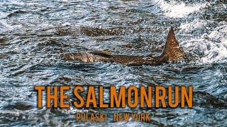 Fly Fishing The Salmon Run Pulaski New York (fly fishing film)