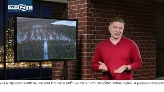 "Риэлторский вестник" В Белоярке "украли" 74га. леса!