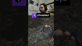 I am not a fan of Gators | p1zzaplayz on #Twitch