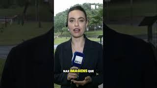 Cãozinho cai em bueiro às margens da rodovia, homem ouve os latidos e aciona socorro