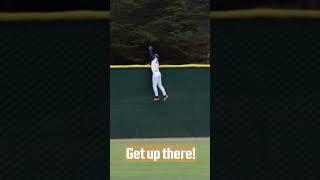 Cal State Monterey Bay outfielder KW Quilici scaled the fence to bring this one back 