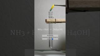 Химические свойства аммиака. Реакция из ОГЭ: NH4Cl + NaOH → NaCl + NH3 + H2O и NH3 + HCl → NH4Cl