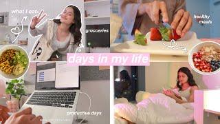 days in my life | VLOG | nishkabhura