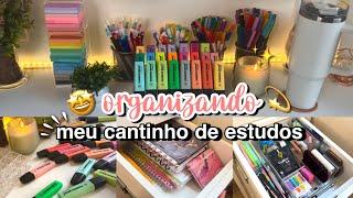 ORGANIZANDO meu Cantinho de Estudos e meu Material Escolar | Tour pela Escrivaninha